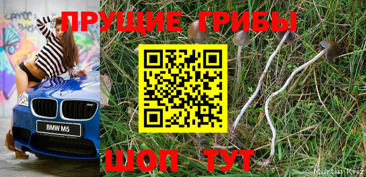Псилоцибиновые грибы мухоморы  Вход с VPN  Воронеж 